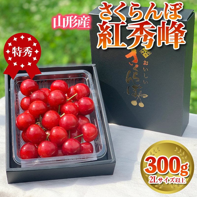 さくらんぼ 「紅秀峰」 300g 特秀品 2Lサイズ以上 山形産【令和7年産先行予約】 FS24-038