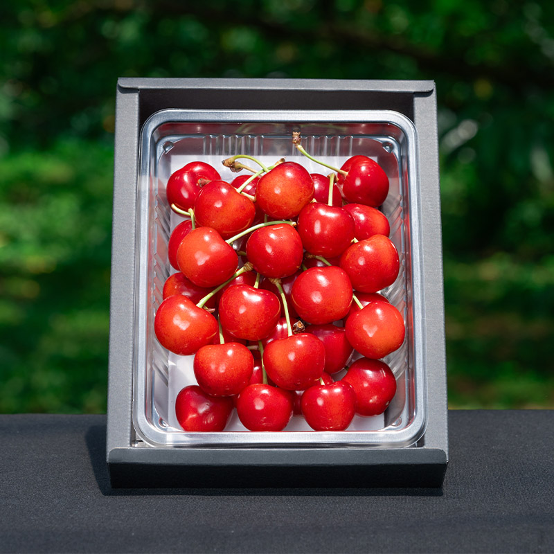 さくらんぼ 「紅秀峰」 300g 特秀品 2Lサイズ以上 山形産【令和8年産先行予約】 FS24-038