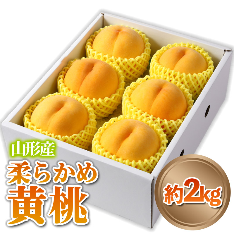 山形産 柔らかめ 「黄桃」 秀品 約2kg (5玉～8玉)【令和8年産先行予約】 FS24-082
