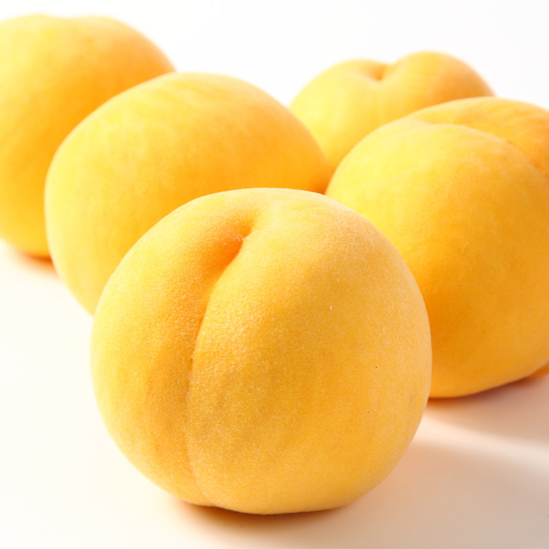 山形産 柔らかめ 「黄桃」 秀品 約2kg (5玉～8玉)【令和8年産先行予約】 FS24-082