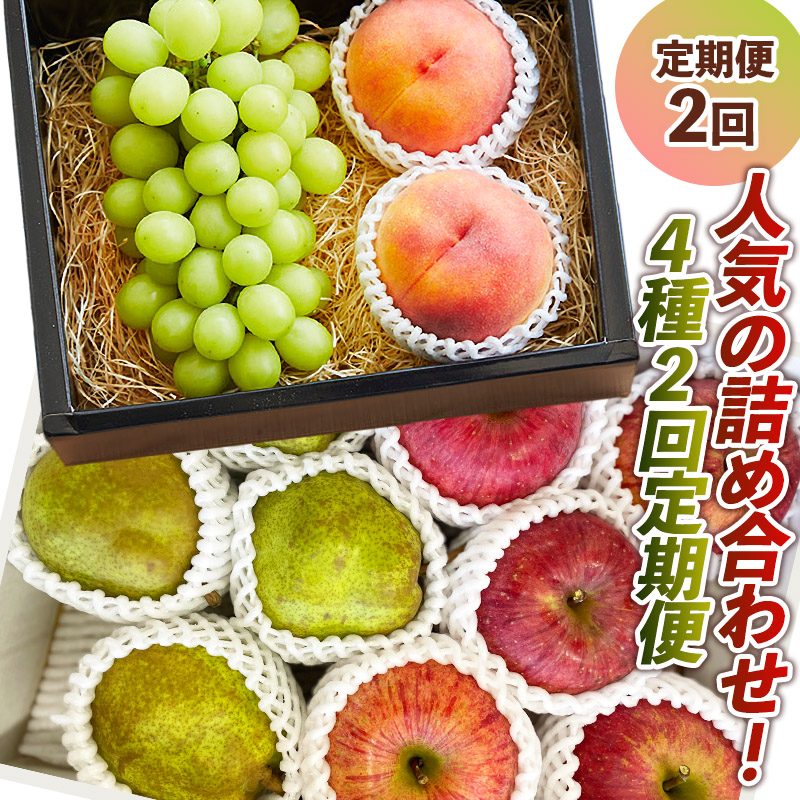 【定期便2回】人気の詰め合わせ！4種2回定期便【令和8年産先行予約】 FS24-087