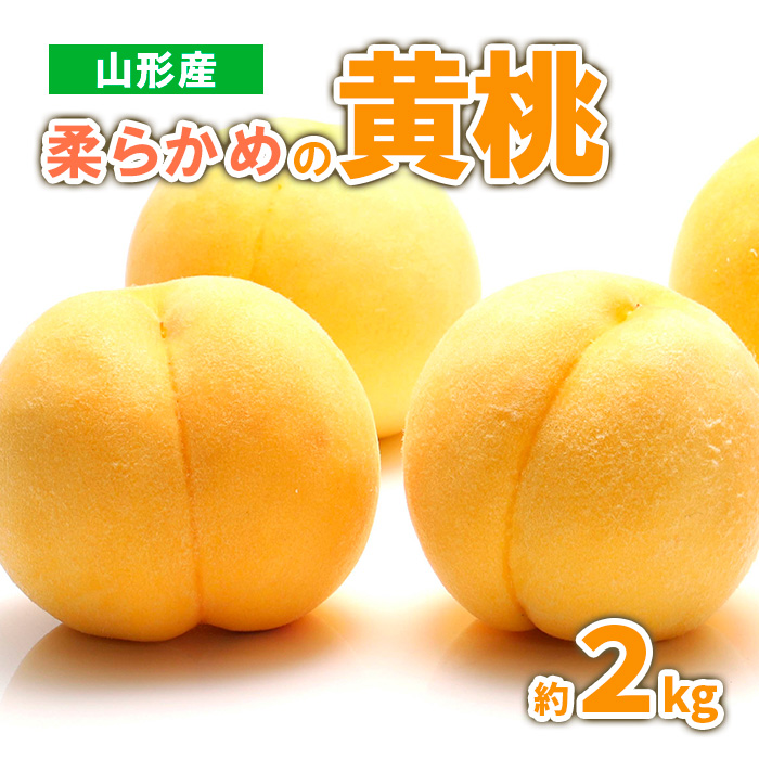 山形産　柔らかめの黄桃 約2kg (4～9玉) 秀品 【令和8年産先行予約】 FS23-718