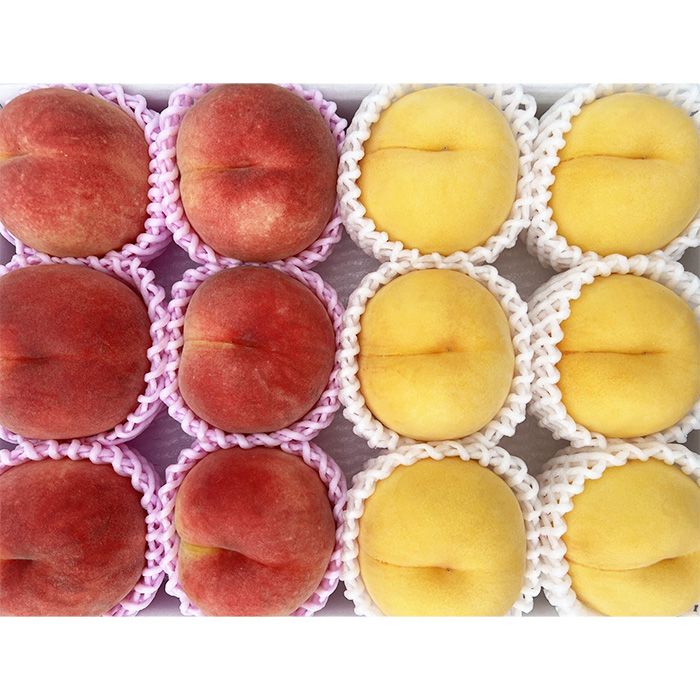 山形市産 黄桃と白桃の2色セット 秀 3kg(硬め） 【令和8年産先行予約】FS23-848