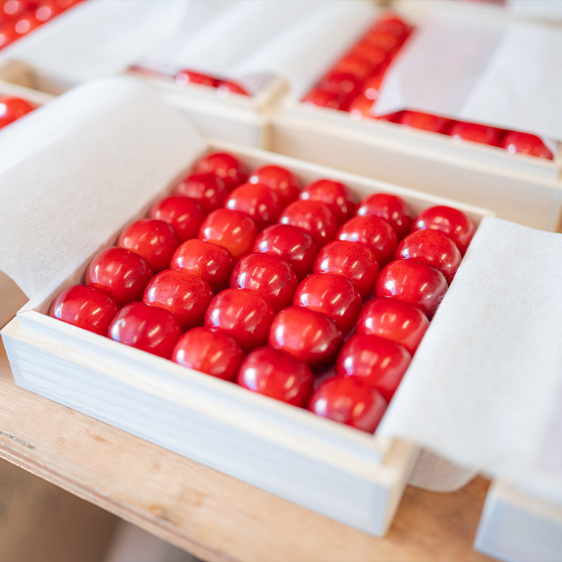 ãããã㌠ãçŽ
ç§å³°ã 300g ç¹ç§å 2Lãµã€ãº æ¡ç®±å
¥ å±±åœ¢ç£ ã什å8幎ç£å
è¡äºçŽã FS24-036