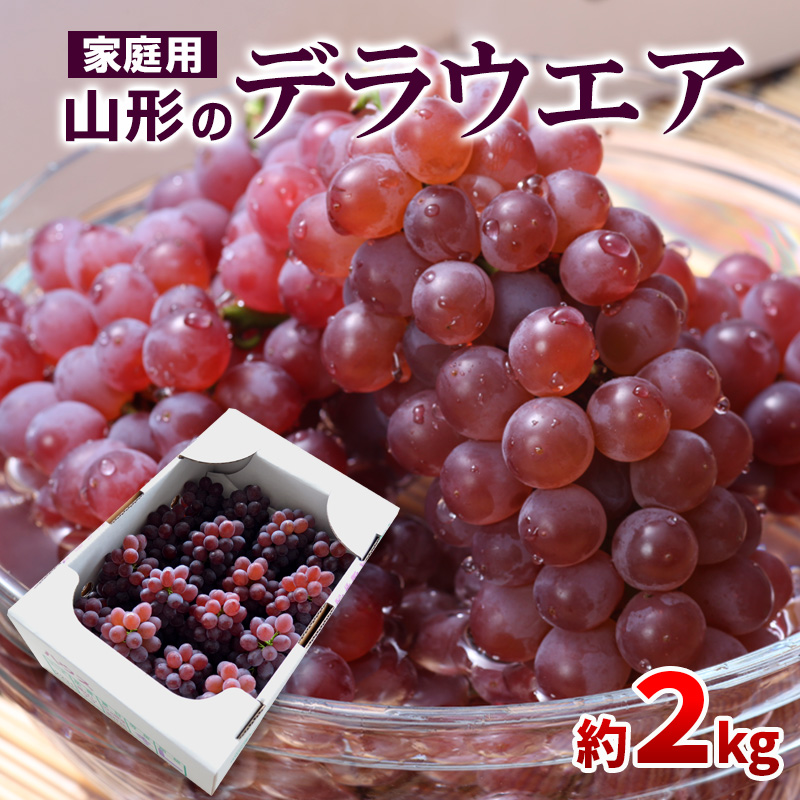 【ご家庭用】山形のデラウエア M～3L 約2kg(9～22房) [粒サイズおまかせ]【令和8年産先行予約】 FS24-137