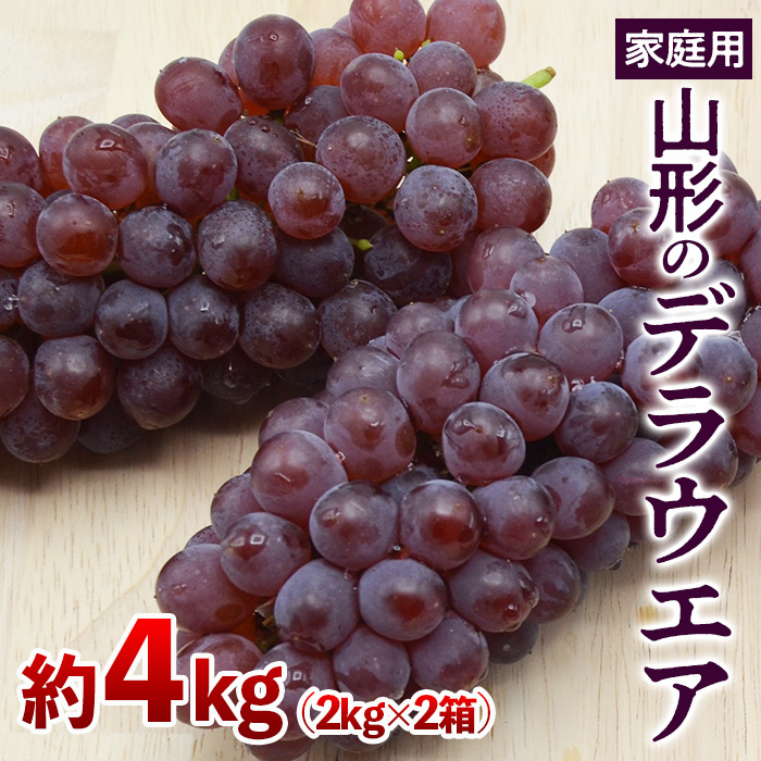 【ご家庭用】山形のデラウエア M～3L 約4kg(18～40房)[粒サイズおまかせ] 【令和7年産先行予約】FS24-570