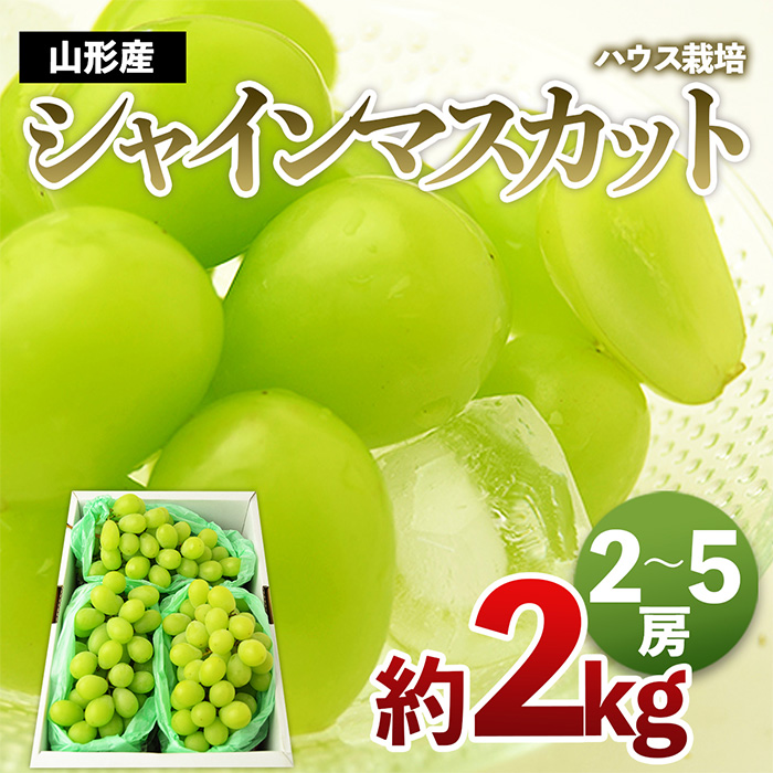 [ハウス栽培]山形のシャインマスカット 秀品 約2kg(2～5房) 【令和7年産先行予約】FS24-640