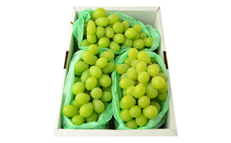 [ハウス栽培]山形のシャインマスカット 秀品 約2kg(2～5房)【令和8年産先行予約】FS24-640