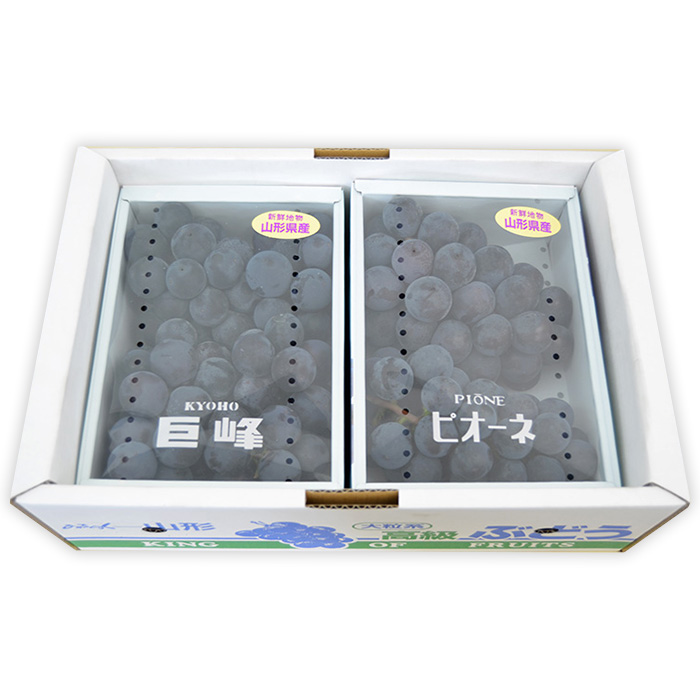 山形のぶどうセット 秀品 約2kg(ピオーネ約1kg2房前後・巨峰約1kg2房前後)[9月中旬～10月中旬お届け]【令和8年産先行予約】FS24-572