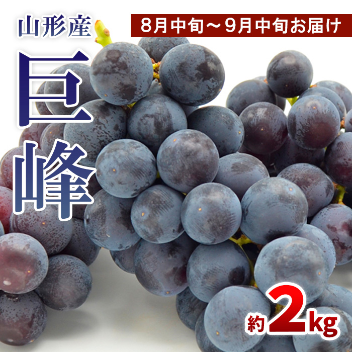 山形のぶどう 巨峰 秀品 約2kg(3～6房)[8月中旬～9月中旬お届け]【令和8年産先行予約】FS24-651