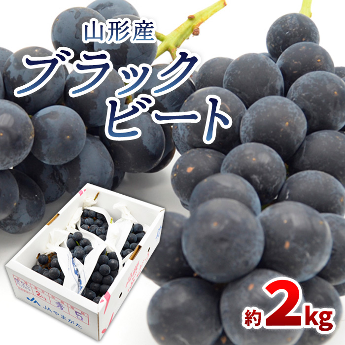 山形のぶどう ブラックビート 秀品 約2kg(3～6房) 【令和7年産先行予約】FS24-653