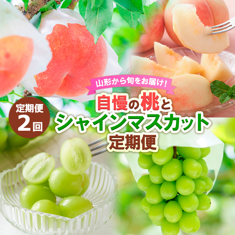 【定期便2回】山形から旬をお届け！自慢の桃とシャインマスカット定期便 【令和7年産先行予約】FS24-501