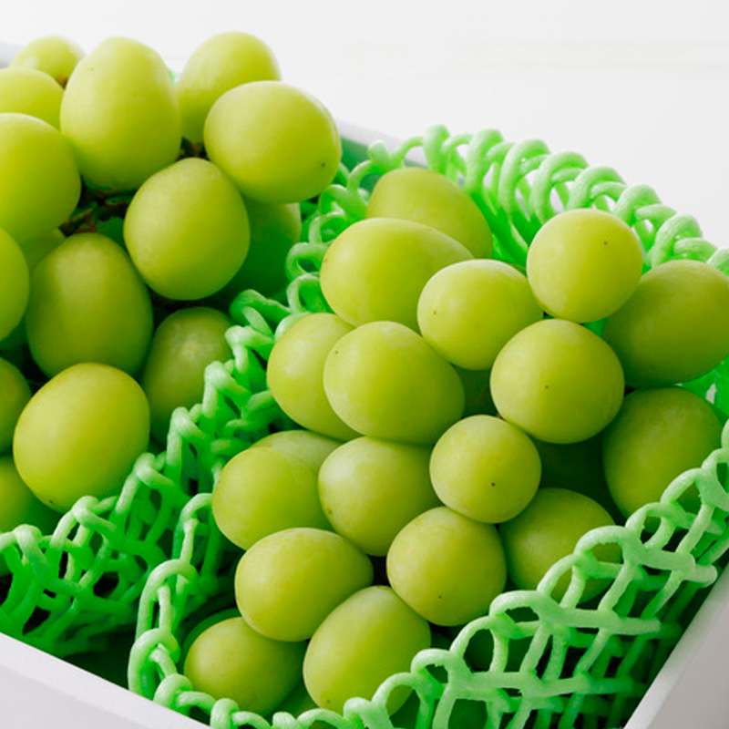 【定期便2回】山形から旬をお届け！自慢の桃とシャインマスカット定期便 【令和8年産先行予約】FS24-501