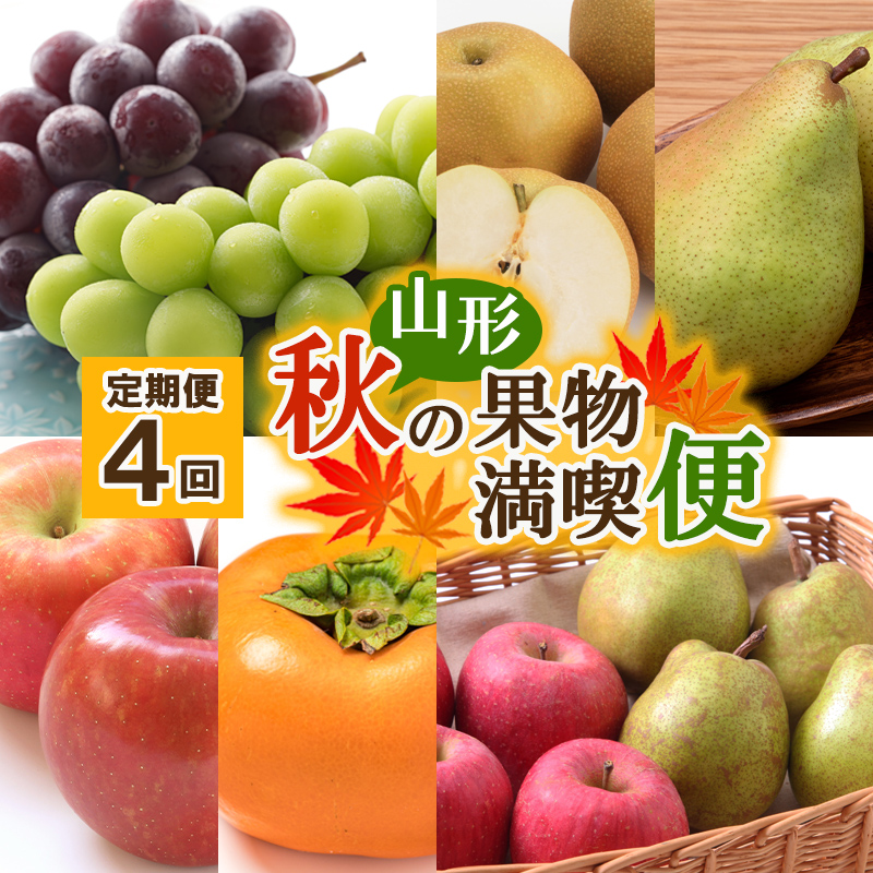【定期便4回】山形秋の果物 満喫便【令和8年産先行予約】FS24-614
