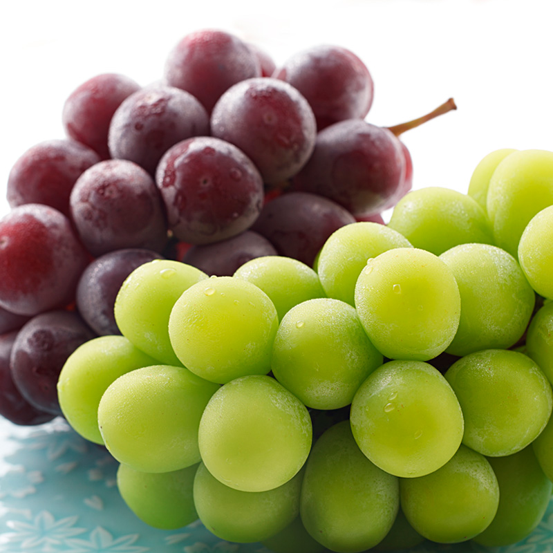 【定期便4回】山形秋の果物 満喫便【令和8年産先行予約】FS24-614