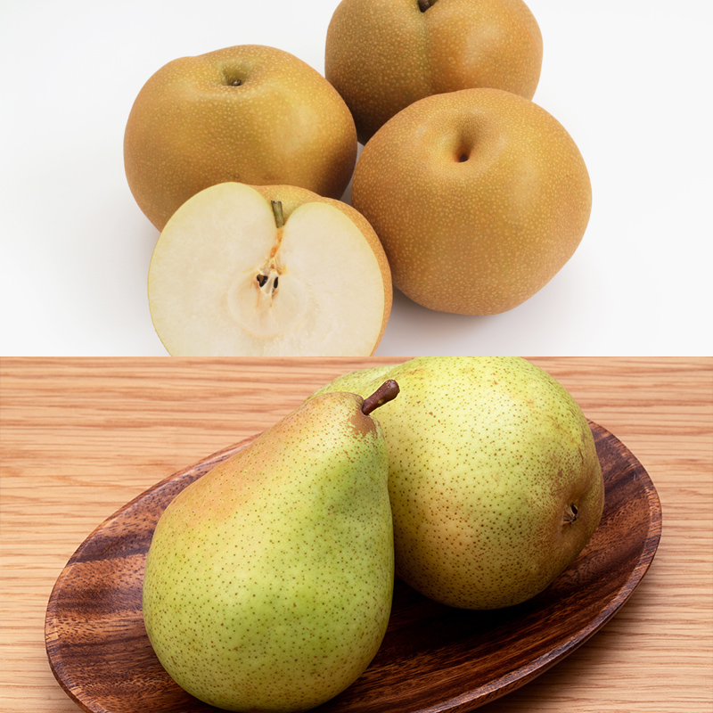 【定期便4回】山形秋の果物 満喫便【令和8年産先行予約】FS24-614