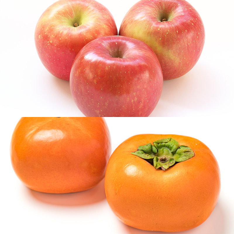 【定期便4回】山形秋の果物 満喫便【令和8年産先行予約】FS24-614