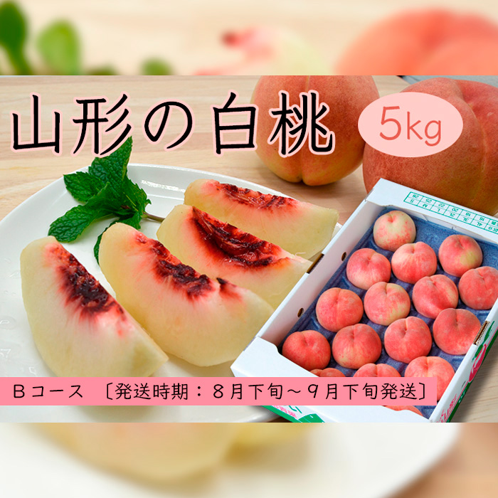 山形の白桃 5kg(10～16玉)Bコース(柔らかくなる品種・果肉やや硬め)【令和8年産先行予約】FS24-566