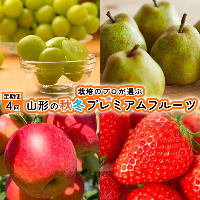 【定期便4回】栽培のプロが選ぶ山形の秋冬プレミアムフルーツ 【令和7年産先行予約】FU21-946