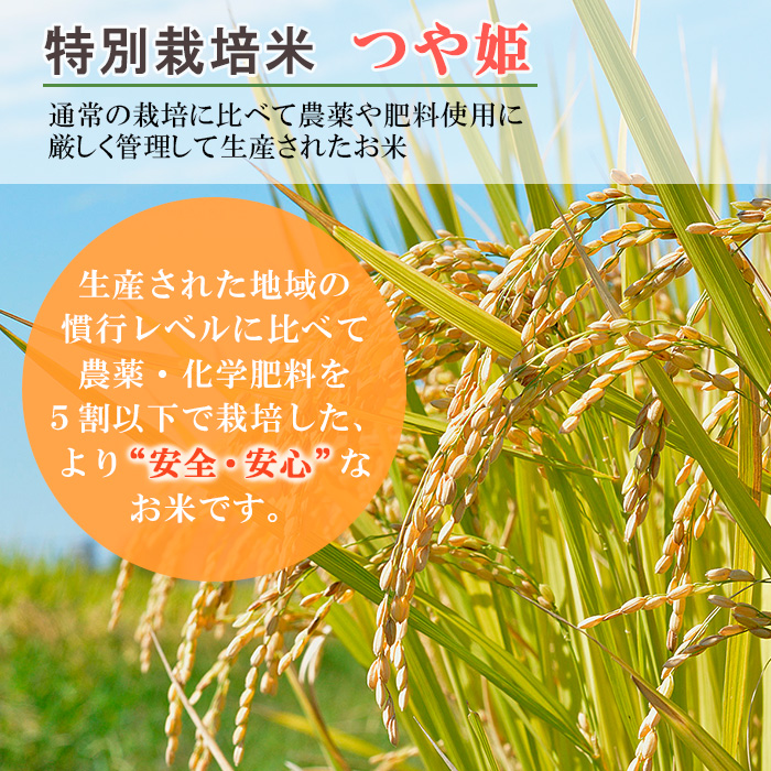 【定期便3回】【数量限定】日本の食卓応援企画！農家自慢の特別栽培米つや姫☆5kg×3か月 (計15kg) 精米でお届け FY24-514