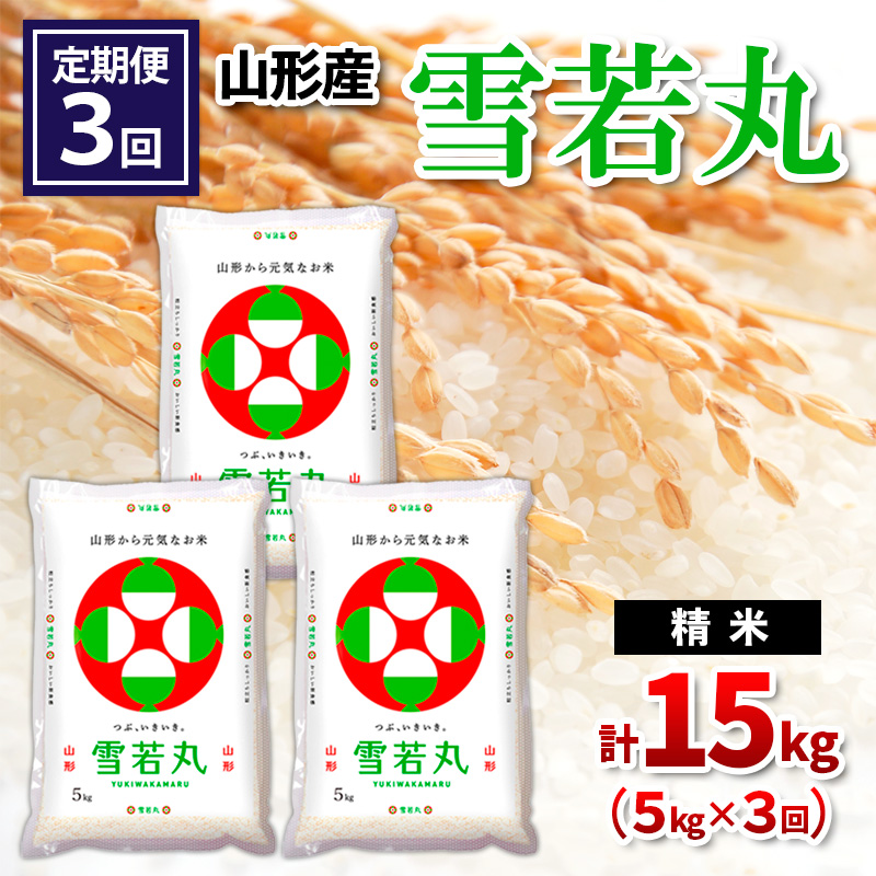 【定期便3回】山形県産 雪若丸 精米 5kg×3回(計15kg) FY24-539