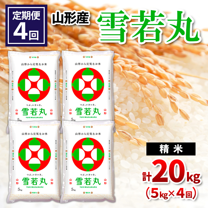 【定期便4回】山形県産 雪若丸 精米 5kg×4回(計20kg) FY24-540