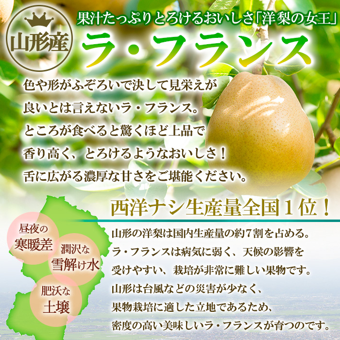 ★食べ頃出荷★山形県産 「ラ・フランス」 特秀品 2kg (5～9玉) 洋梨 ラフランス 山形 【令和7年産先行予約】FS24-818