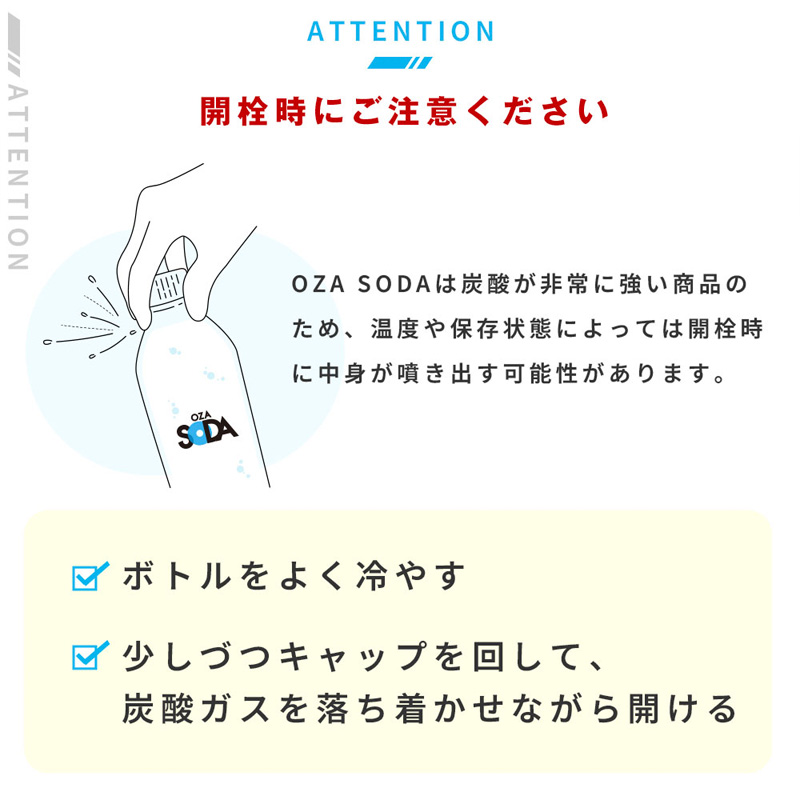 OZA SODA 強炭酸水(プレーン) 500ml×48本 FZ23-926