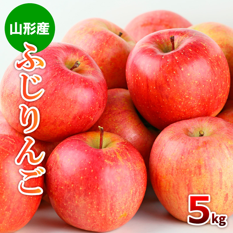 山形市産 ふじりんご 5kg(18～20玉) FZ19-428