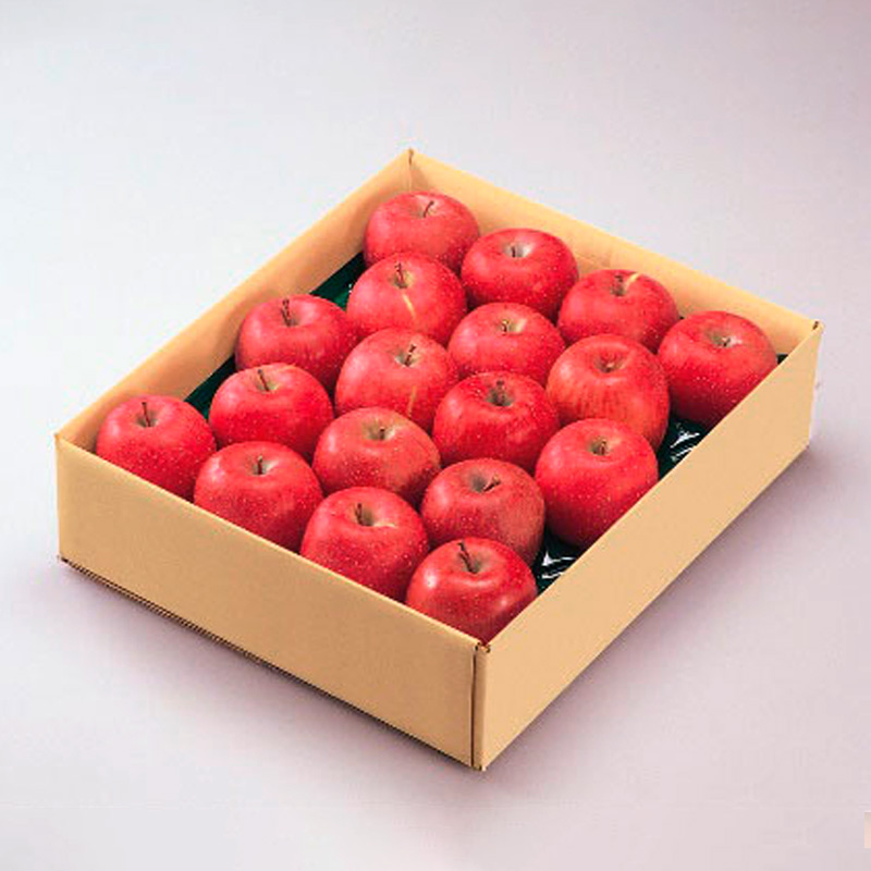 山形市産 ふじりんご 5kg(18～20玉) FZ19-428