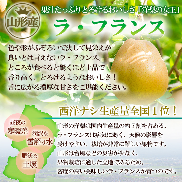 厳選ラ・フランス 秀品5kg FZ20-577
