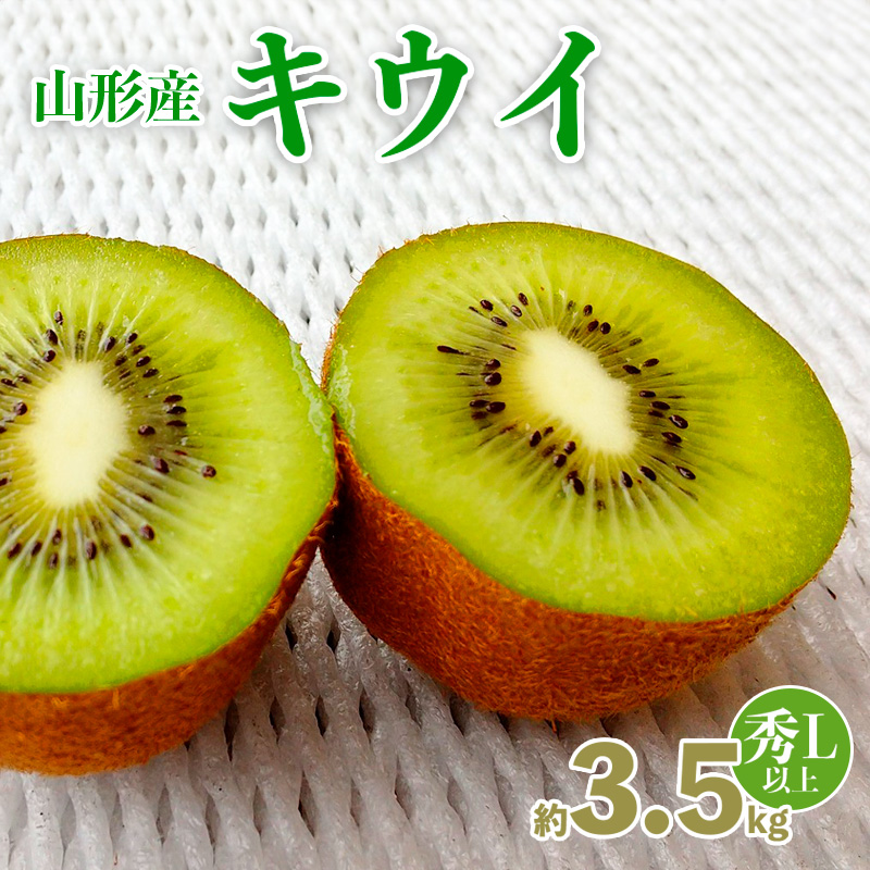 山形産キウイ秀品Ｌ以上　２０～３０玉約3.5キロ【令和8年産先行予約】FS25-766
