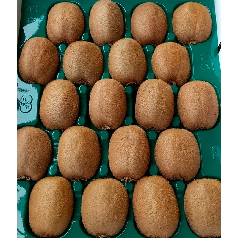 山形産 キウイ 秀品 L以上 約3.5kg(20～30玉) FZ20-067