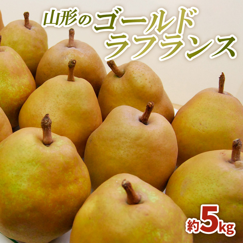 山形のゴールドラフランス 5kg(3L～6L)10～16玉【令和8年産先行予約】FS25-741