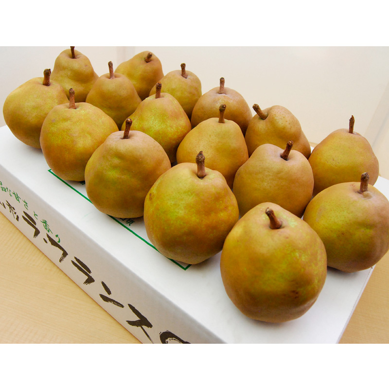 山圢ã®ãŽãŒã«ãã©ãã©ã³ã¹ çŽ5kg(3Lïœ6L)10ïœ16ç FZ22-074