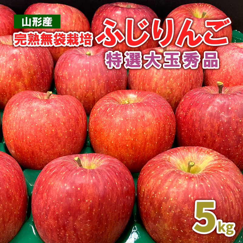 完熟無袋栽培ふじりんご 特選大玉秀品5kg入り【令和8年産先行予約】FS25-762