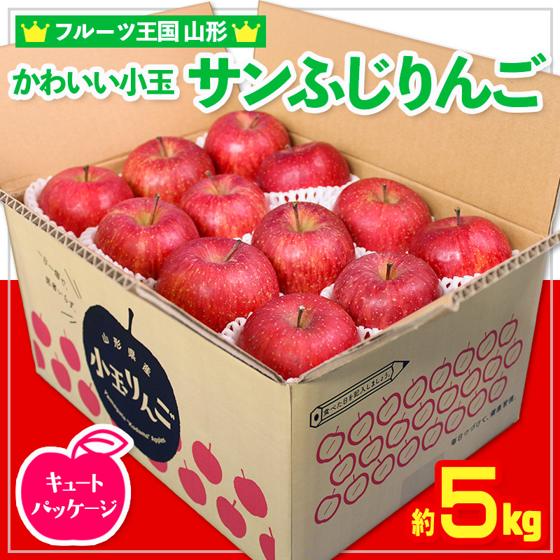 ☆フルーツ王国山形☆かわいい 小玉サンふじりんご 5kg 24玉 キュートパッケージ FZ26-807