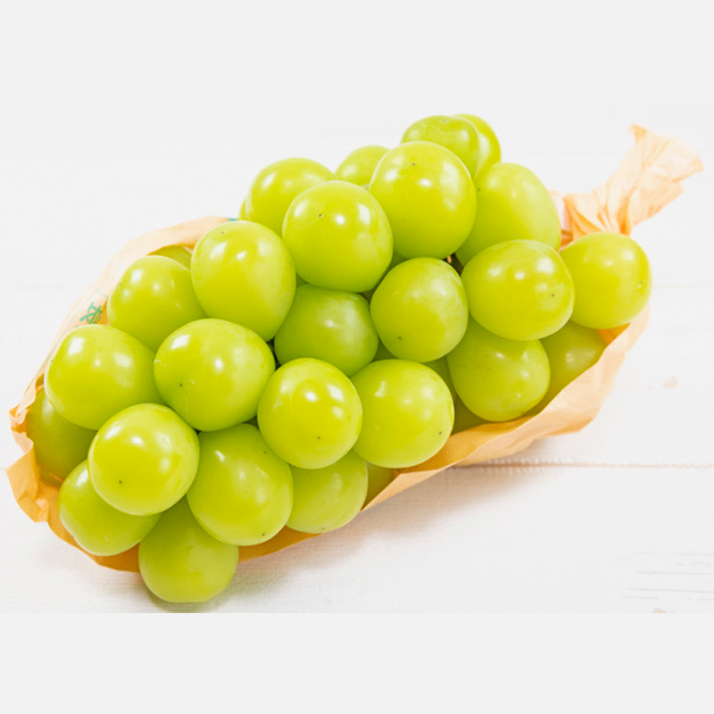 【定期便4回】ノノハナフルーツ　食べ切りおすすめ定期便 FY25-811