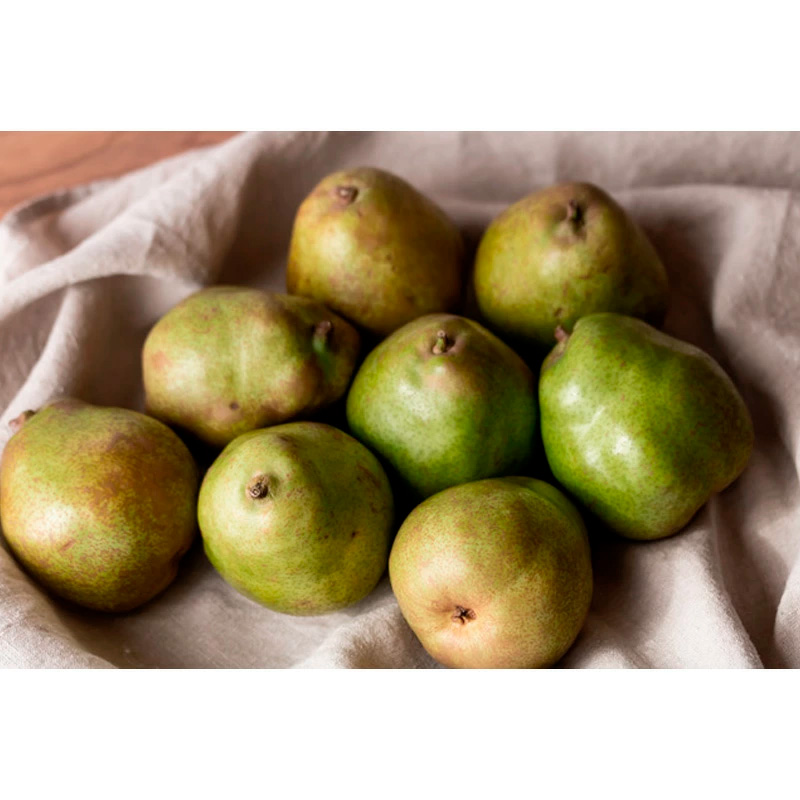 【定期便4回】ノノハナフルーツ　食べ切りおすすめ定期便 FY25-811