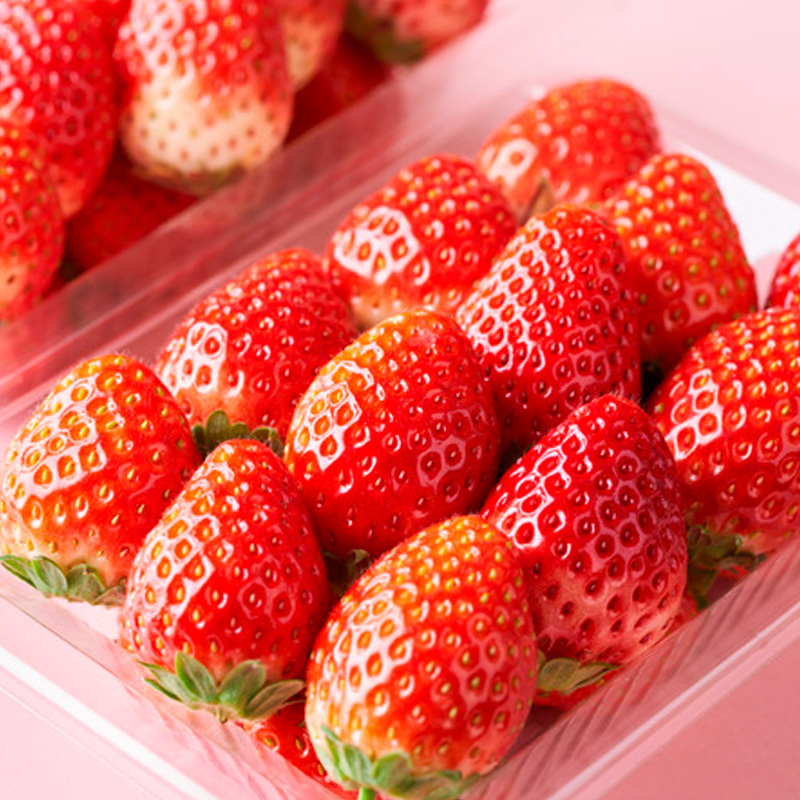 【定期便4回】ノノハナフルーツ　食べ切りおすすめ定期便 FY25-811