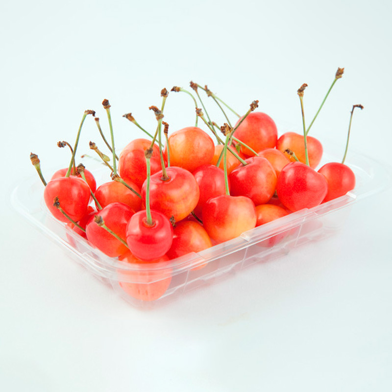 【定期便4回】ノノハナフルーツ　食べ切りおすすめ定期便 FY25-811