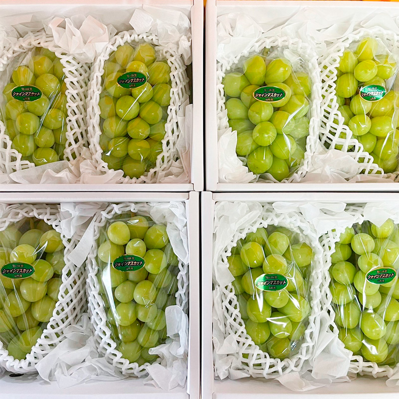 【家庭用】シャインマスカット 約1.4kg 2～3房 【令和8年産先行予約】FS25-587