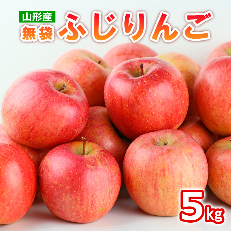 山形産 無袋 ふじりんご 秀5kg(13～20玉)【令和8年産先行予約】FS25-774