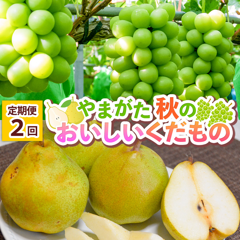 【定期便2回】 やまがた 秋のおいしいくだもの【令和8年産先行予約】FS25-777