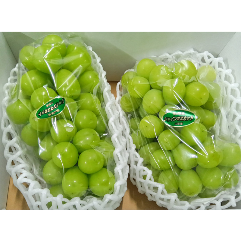 【定期便2回】 やまがた 秋のおいしいくだもの【令和8年産先行予約】FS25-777