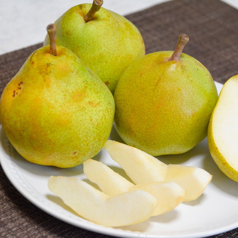 【定期便2回】 やまがた 秋のおいしいくだもの【令和8年産先行予約】FS25-777