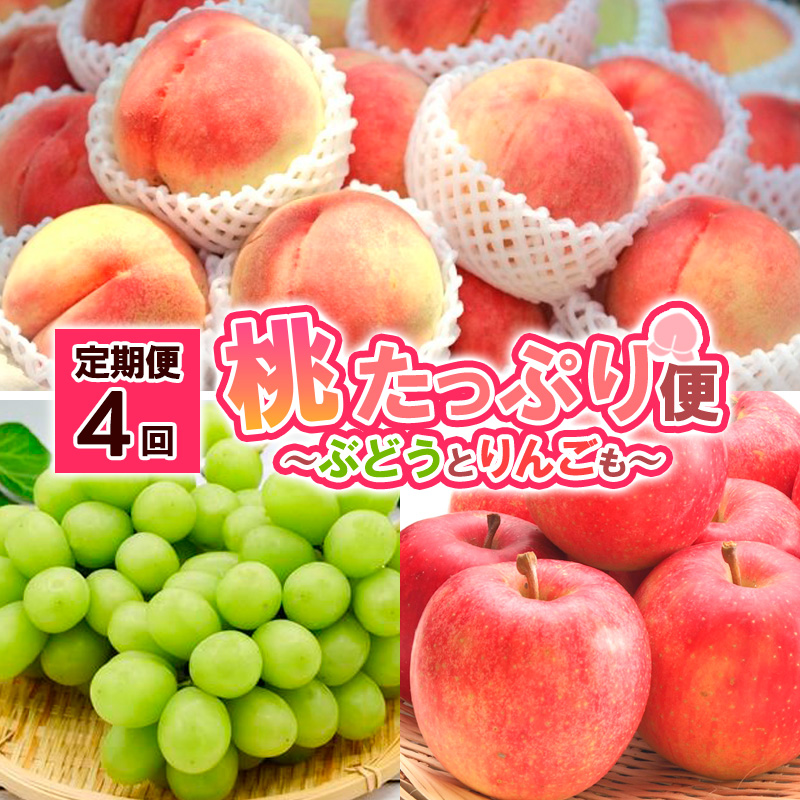 【定期便4回】桃たっぷり便～ぶどうとりんごも～ 【令和8年産先行予約】FS25-689