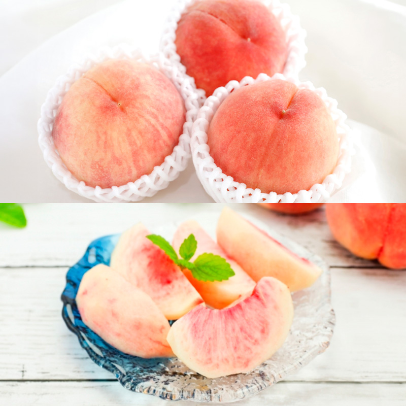 【定期便4回】桃たっぷり便～ぶどうとりんごも～ 【令和8年産先行予約】FS25-689