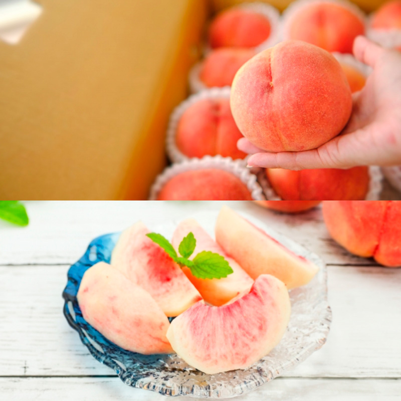 【定期便3回】桃とりんご好きのもりもり便 【令和8年産先行予約】 FS25-629