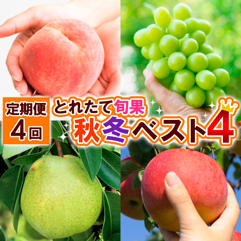【定期便4回】とれたて旬果 秋冬ベスト4 【令和8年産先行予約】FS25-690